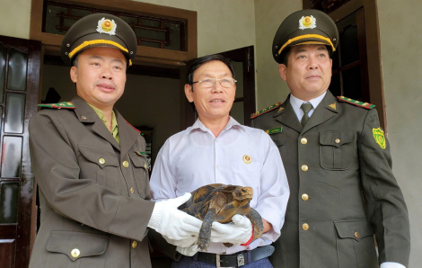 Nỗ lực tìm dược liệu thay thế chế phẩm từ động vật hoang dã