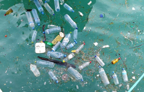 Nhật Bản nghiên cứu tạo ra nhựa có thể tan trong nước biển