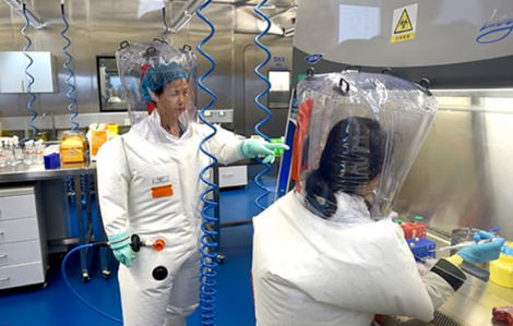 Vi rút họ hàng của COVID-19 tiệm cận khả năng gây ra đại dịch mới