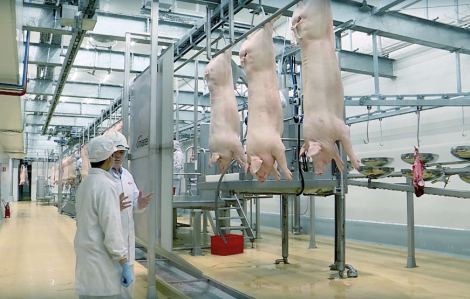 Mua thịt ủ mát tại siêu thị: An toàn - truy xuất nguồn gốc rõ ràng