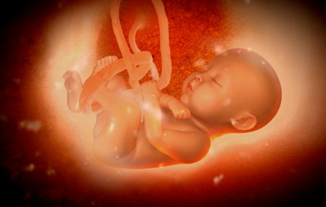 Tin tức ngày 9/6: Thiếu sắt khi mang bầu có thể làm thay đổi giới tính thai nhi