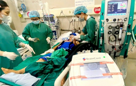 Bị điện giật ngừng tim dưới hồ cá Koi, người đàn ông thoát chết thần kỳ