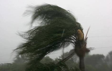 Bão số 1 trên Biển Đông có thể mạnh lên cấp 10