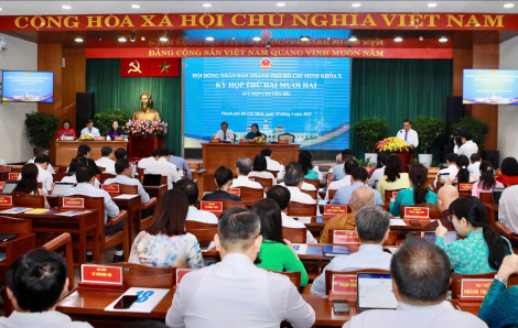 Kiến nghị có mô hình Hội đồng nhân dân phường lâm thời tại TPHCM, Đà Nẵng