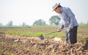 Dù không biết chữ, cha tôi đã đánh vần cuộc đời bằng cách đặc biệt