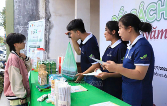 Lý tưởng thôi chưa đủ, người trẻ cần một hệ sinh thái để trưởng thành