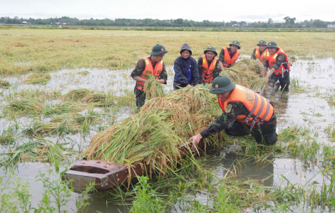 Bộ đội ngâm mình dưới nước giúp dân thu hoạch lúa sau cơn lũ bất ngờ tháng 6