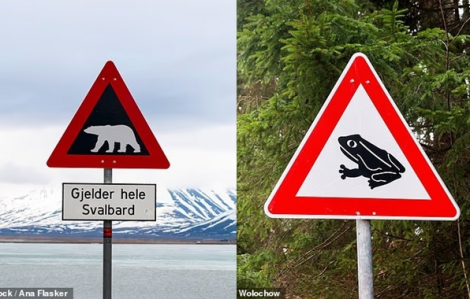 Những biển báo đường bộ độc lạ trên thế giới