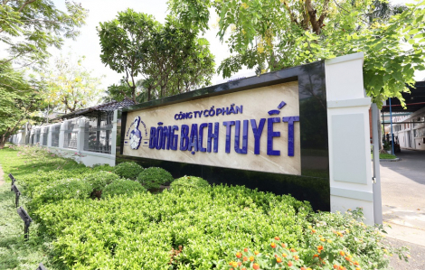 Sự hồi sinh mạnh mẽ của “tượng đài” bông y tế Việt