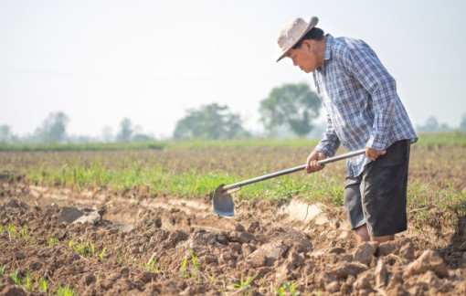 Dù không biết chữ, cha tôi đã đánh vần cuộc đời bằng cách đặc biệt