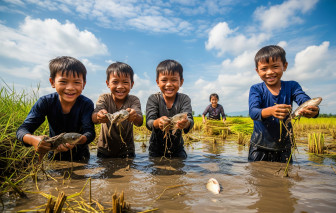 Đi bắt cá đồng