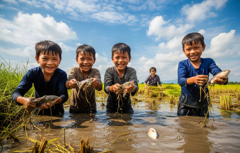 Đi bắt cá đồng