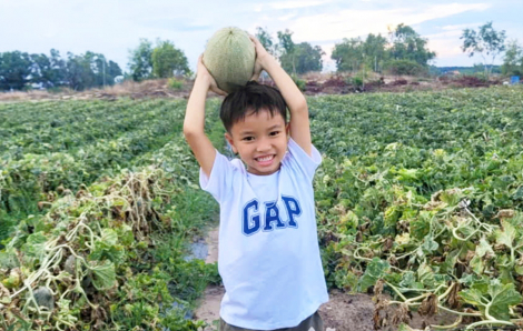 Ước gì con có mùa hè như mẹ…