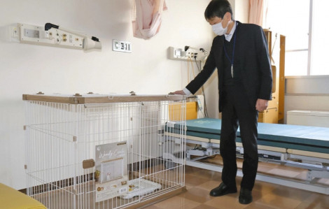 Bệnh nhân ở Nhật Bản được phép nằm viện cùng thú cưng