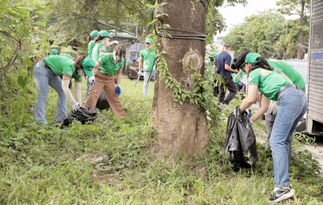 Diana Unicharm phát động lễ ra quân hưởng ứng Ngày ASEAN phòng chống sốt xuất huyết 2025