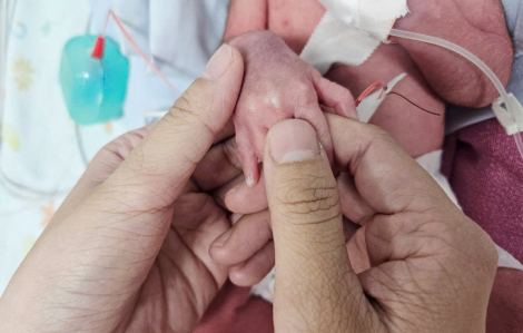 Có một nơi ngày đêm chăm sóc những em bé "tí hon"