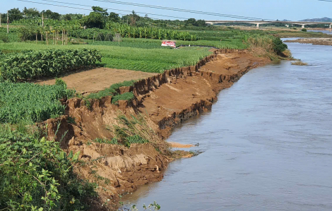 Quảng Nam: Sạt lở hàng chục mét bờ sông, đe doạ an toàn cầu Quảng Huế