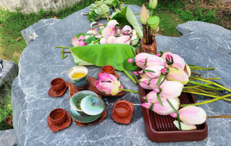 Giữa Sài Gòn lắng dịu chén trà sen