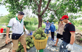 Muốn tăng trưởng 8%: Phát huy nội lực để chống những “cú sốc” từ bên ngoài