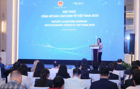 OECD khuyến nghị giải pháp giúp Việt Nam phát triển bền vững và tự cường