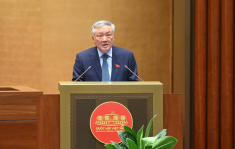 Phó thủ tướng: Không để đầu cơ, trục lợi giá nhà đất sau sáp nhập tỉnh