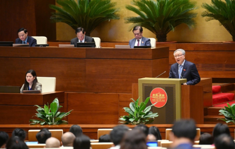 Phó Thủ tướng Nguyễn Hòa Bình: Nỗ lực để “câu chuyện áp thuế 46%” không xảy ra