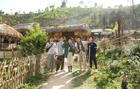 Gia đình Haha ăn khách, vì sao?