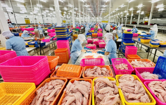 Mỹ giữ mức thuế chống bán phá giá 0% với 7 doanh nghiệp xuất khẩu cá tra Việt Nam