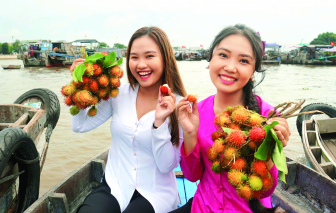 Đánh thức “mỏ vàng” du lịch sông nước miền Tây