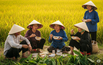 Nhớ những trưa đội cơm ra ruộng…