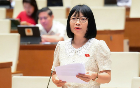 Đại biểu Quốc hội: Lo nạn hàng giả tái diễn sau các đợt ra quân cao điểm