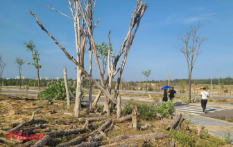Công ty Danh Khôi được giải chấp, dự án Nhơn Hội New City le lói hi vọng cấp chủ quyền
