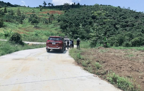 Người tìm mua đất ở Lâm Đồng bất ngờ tăng mạnh