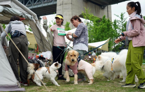 Trung Quốc mở ngành đào tạo đại học về "thú cưng"