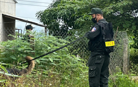 Đôi tình nhân mua ma túy về cất giấu khắp nơi để bán kiếm lời