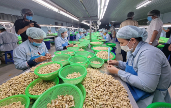 Nhu cầu vay xuất khẩu tăng