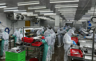 Vận hành mô hình hỗ trợ cộng đồng doanh nghiệp nhỏ