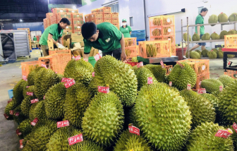 Giá sầu riêng, dừa… đồng loạt giảm sâu