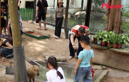 Chơi với Capybara, rái cá tại Vườn thú thân thiện, Thảo Cầm Viên Sài Gòn