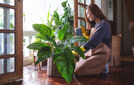 Chịu nhận quà là sếp cũng... yêu tôi?