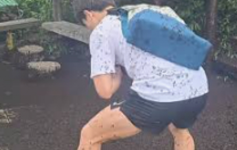 Hàn Quốc đau đầu với "bọ tình yêu"