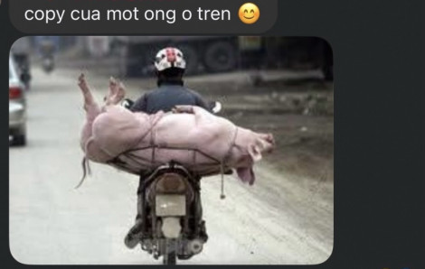 Hiệu ứng bầy đàn và nỗi im lặng của sự tử tế