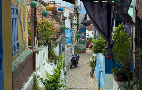 Một ngày vòng quanh đất võ