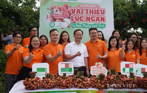 Một phiên livestream và một tư duy lãnh đạo đáng quý