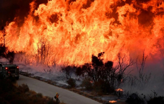 Cháy rừng lớn nhất tính từ đầu năm ở California, thiêu rụi hơn 14.000ha