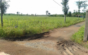 Miễn tiền thuế sử dụng đất nông nghiệp đến hết năm 2030