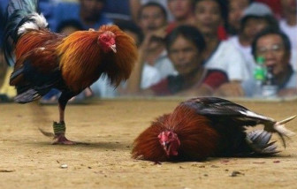Philippines lật lại vụ 34 người bị sát hại rồi dìm xác xuống hồ cách nay 3 năm