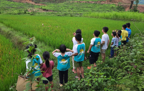 Từ Làng Háo Hức đến bài học không hề háo hức trong kinh doanh giáo dục