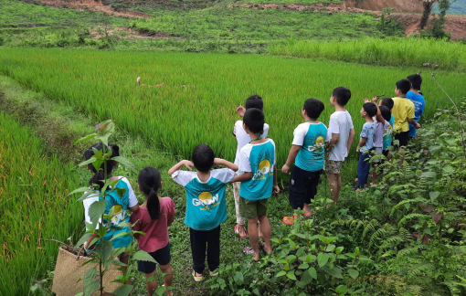 Từ Làng Háo Hức đến bài học không hề háo hức trong kinh doanh giáo dục