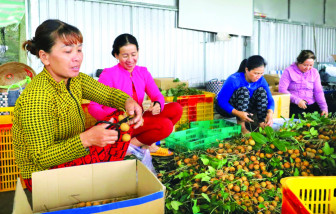 Dự báo xuất khẩu rau quả sẽ phục hồi mạnh